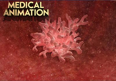 360 Panoramic Virtual Tour Company