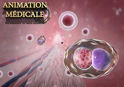 360 Panoramic Virtual Tour Company