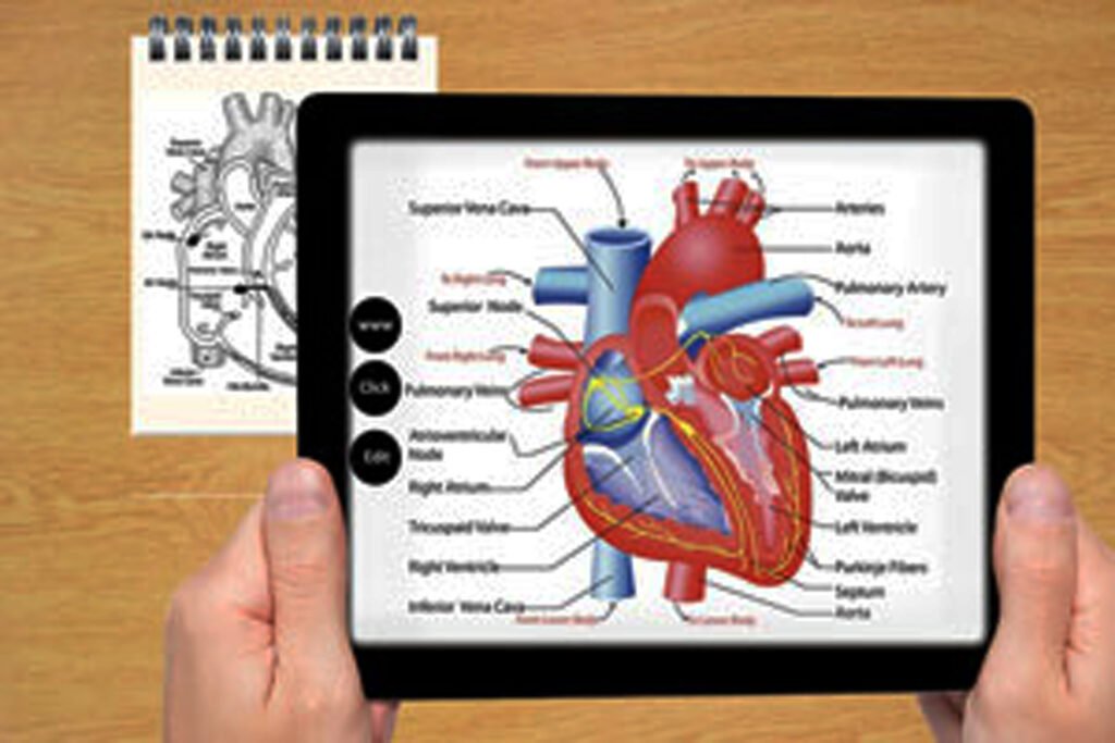 3d-medical-animation-studio-architectural-rendering-services