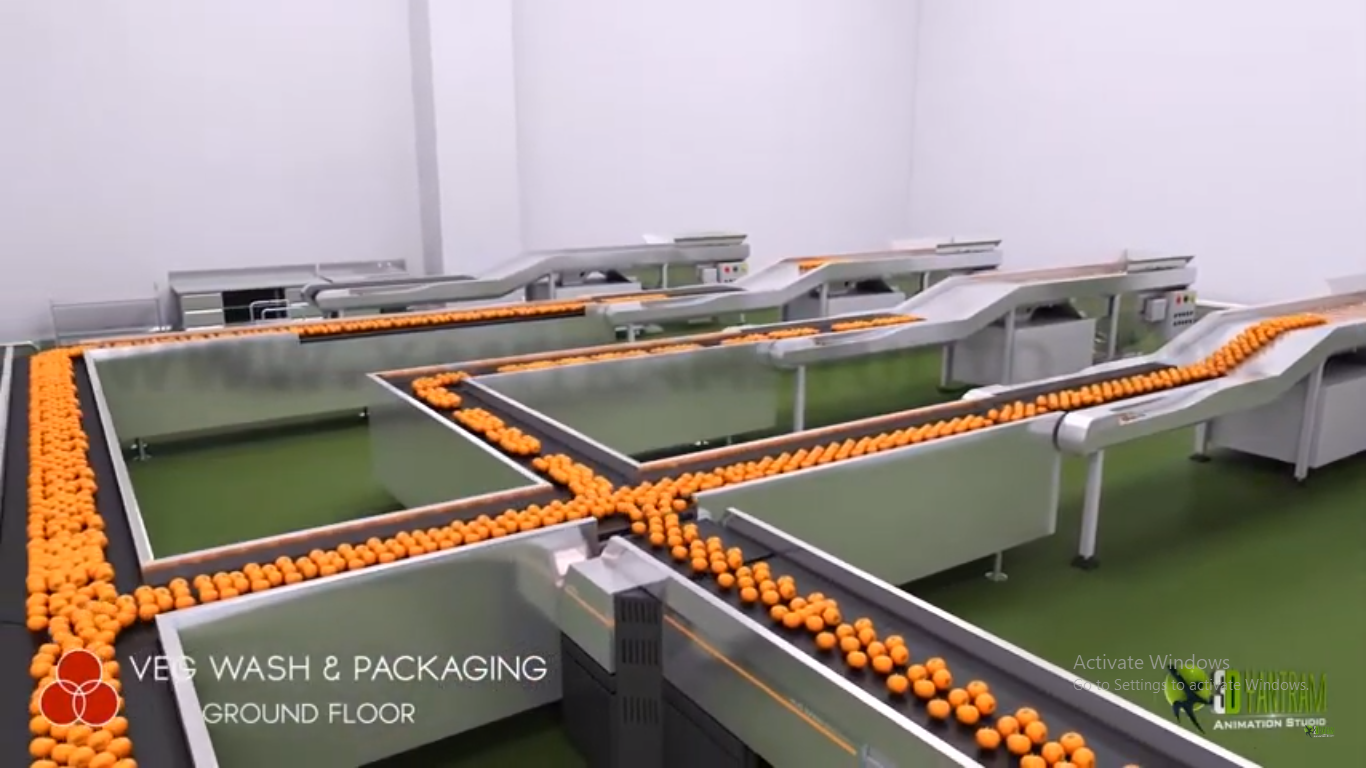 Production conveyor system with orange frame and green processing surface for vegetable washing and packaging. — Industrial Machinery Animation
