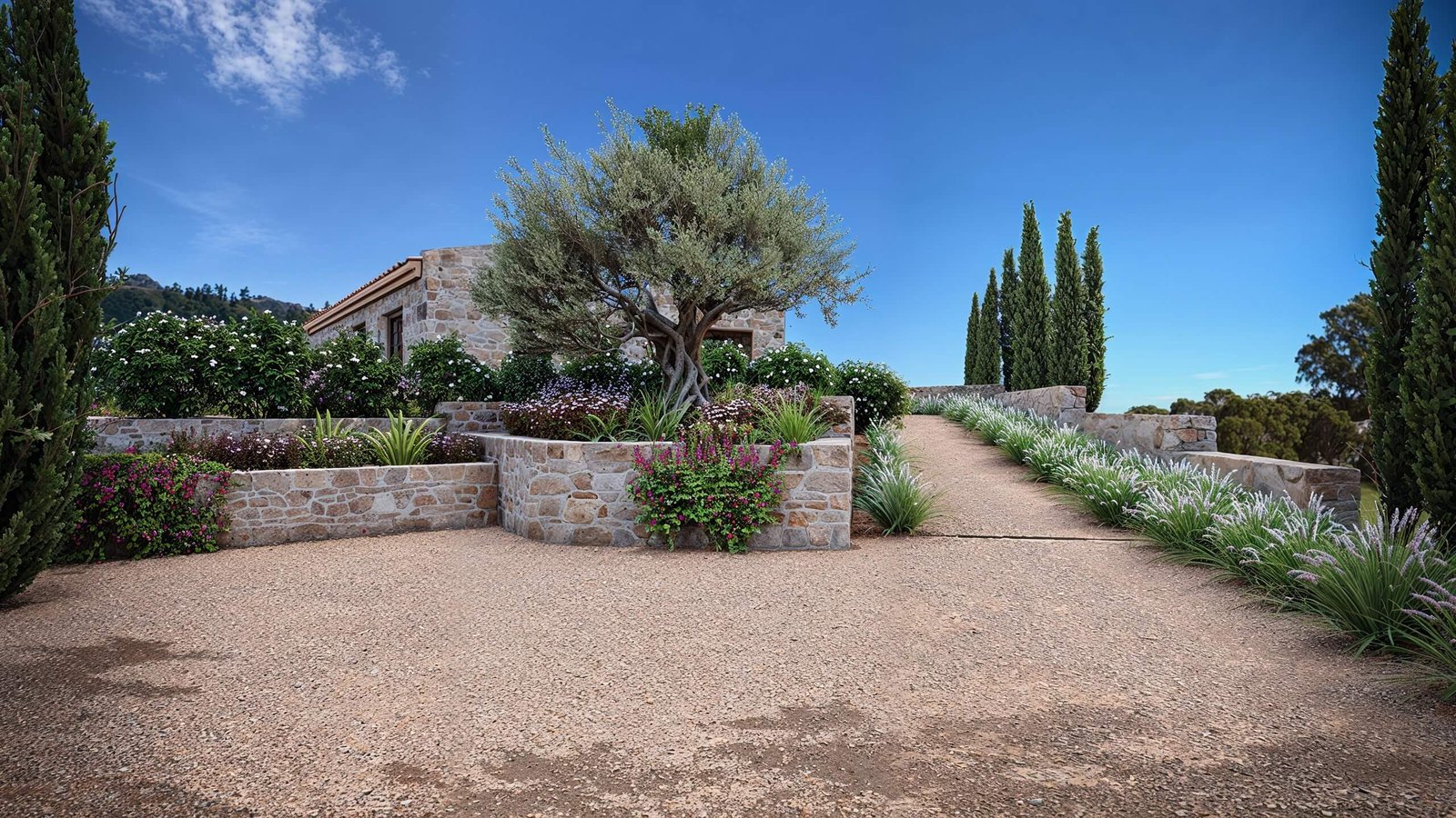 Mediterranean Landscape Design with Terraced Stone Garden Mediterranean-style terraced garden with natural stone retaining walls, olive tree centerpiece, gravel pathway, ornamental grasses, and cypress trees under clear blue sky.